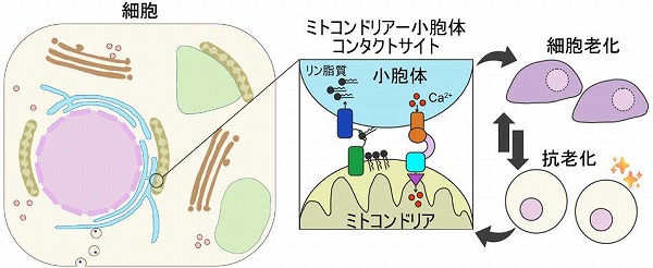 vol63_10