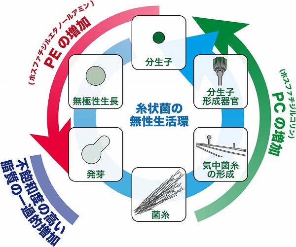 vol63_10