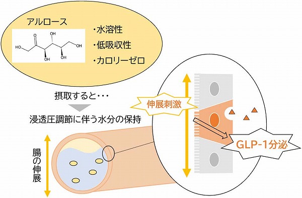 vol64_3