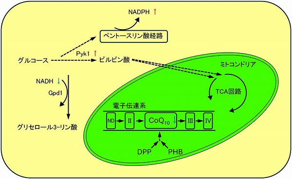 vol64_3