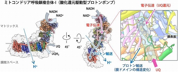vol64_4