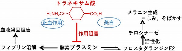 vol64_5