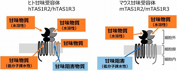 vol64_6
