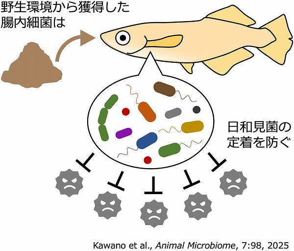 vol64_6