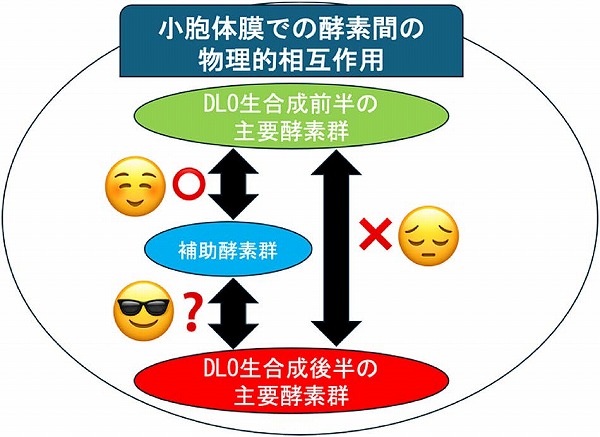 vol64_6