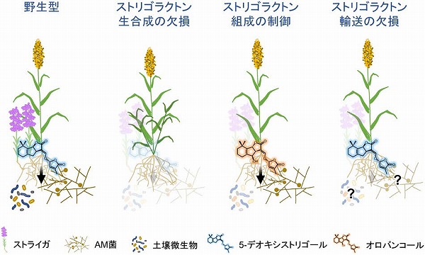vol64_6