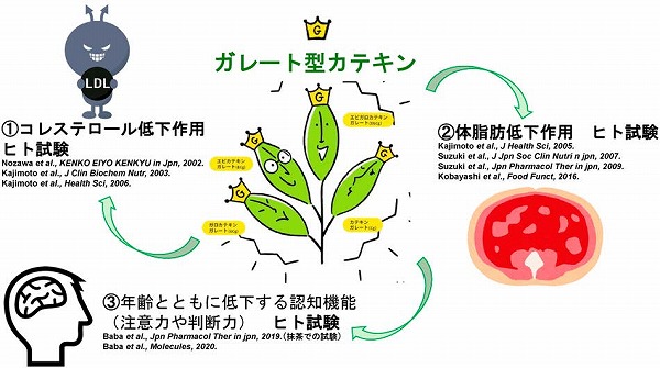 vol64_6