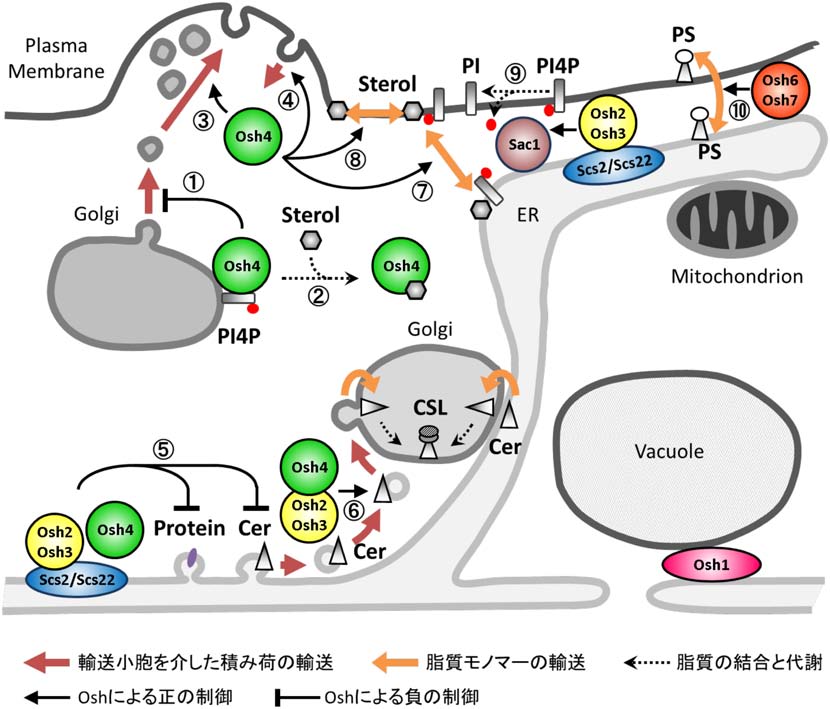 vol53_4