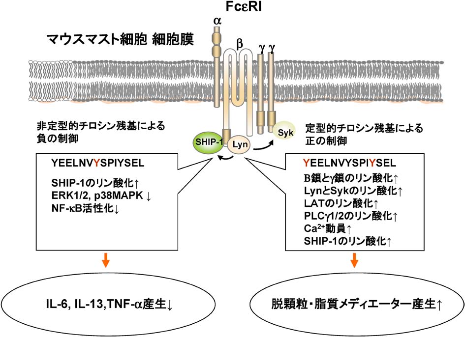 vol53_4