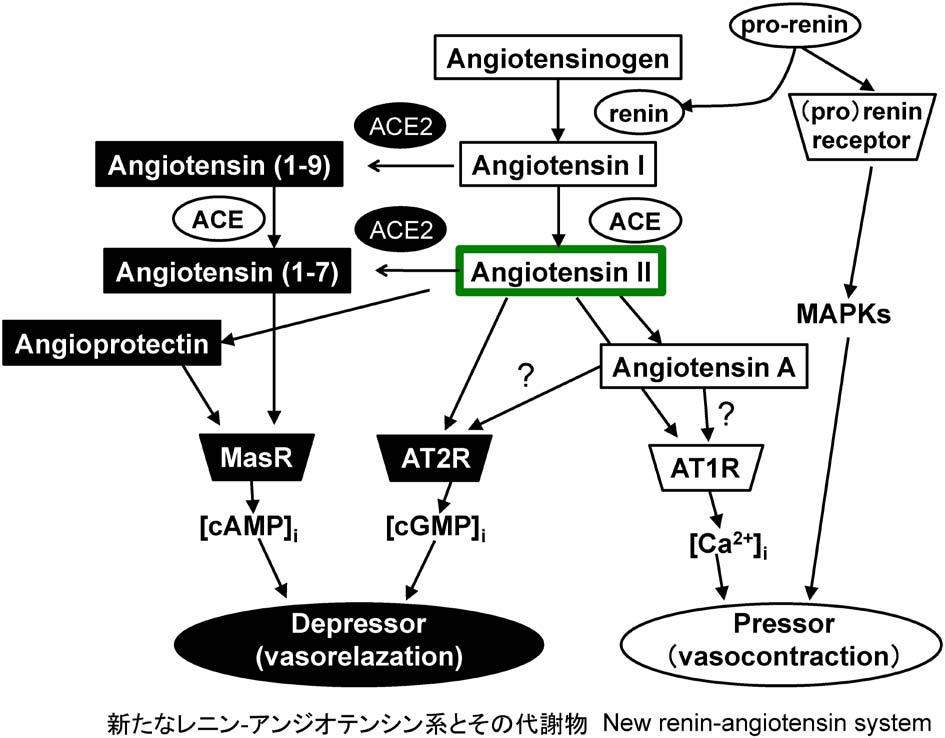 vol53_4