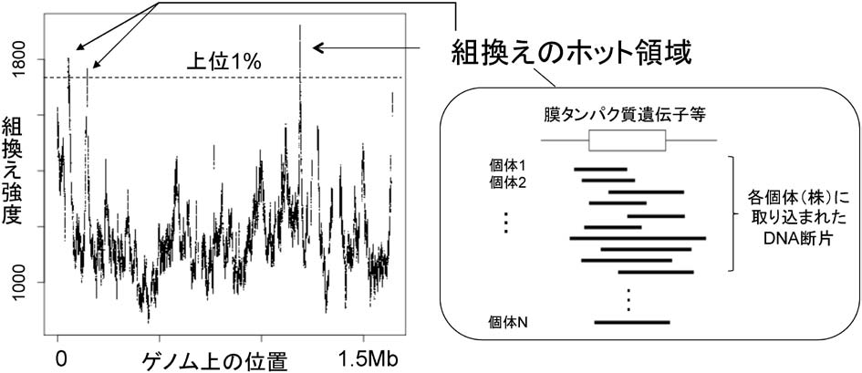 化学と生物 - 日本農芸化学会 - | Vol.53 No.5 | ゲノムに刻み込まれた