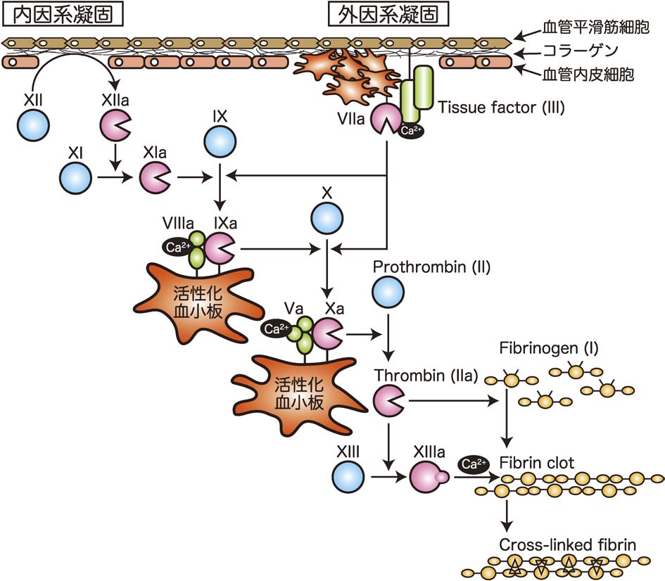 vol53_6