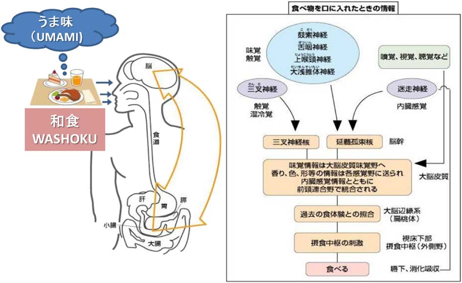 vol53_7