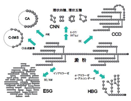 vol53_8