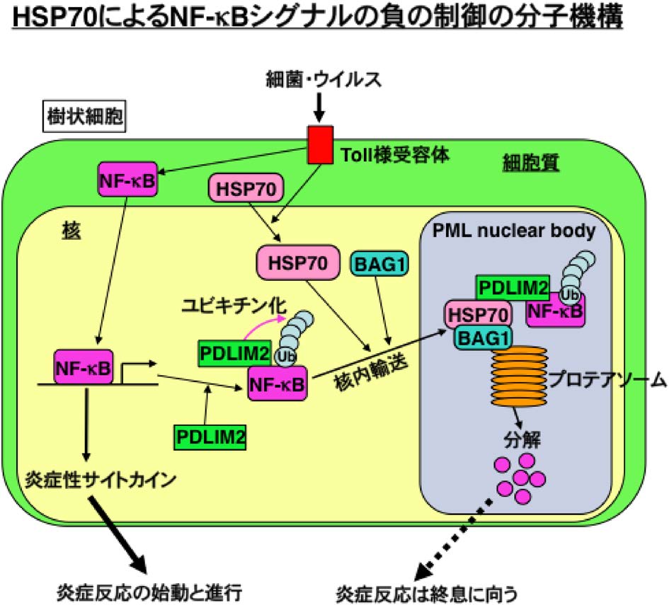 vol53_10