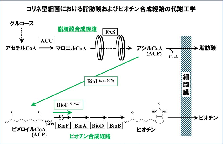 vol53_10