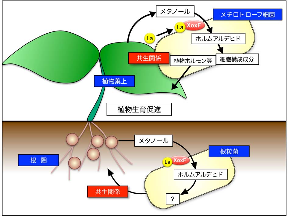 vol53_11