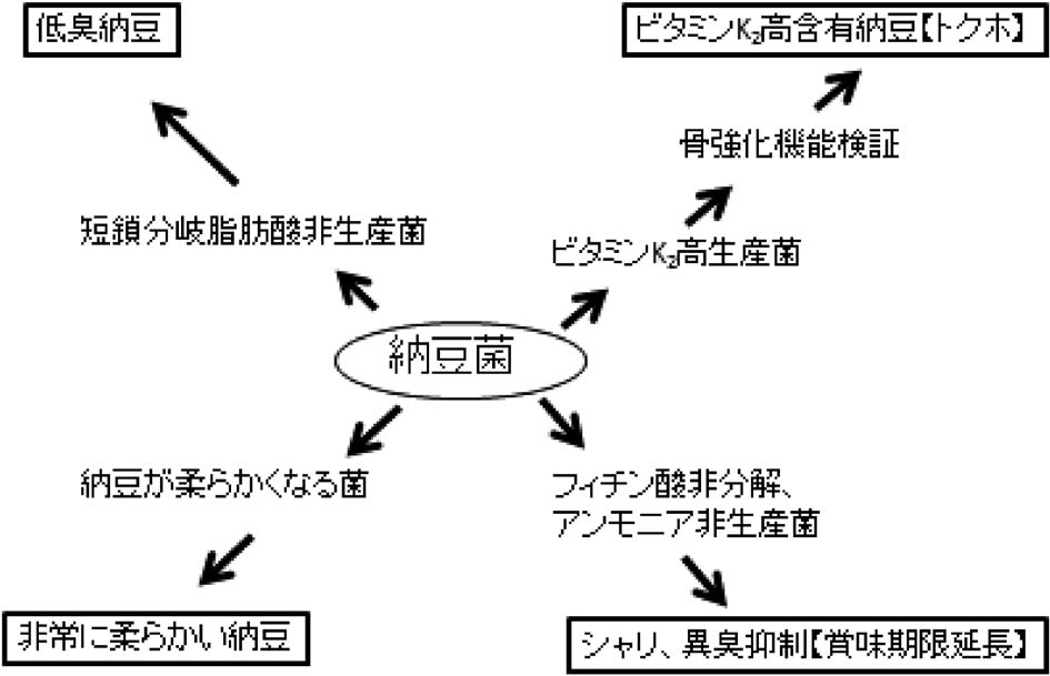 化学と生物 - 日本農芸化学会 - | Vol.53 No.11 | 納豆菌の育種による