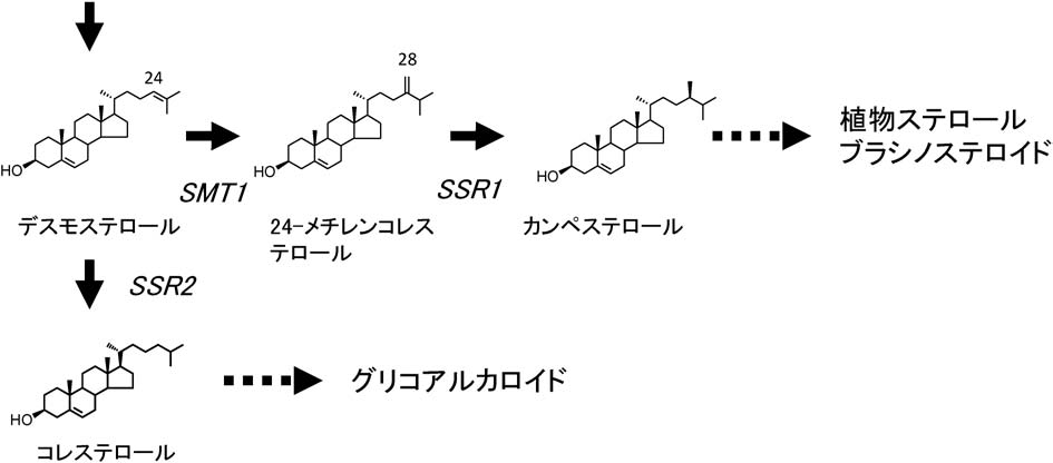 vol53_12