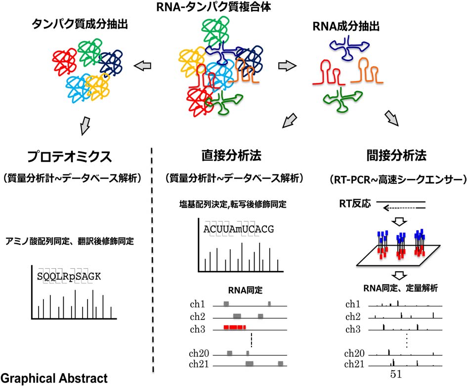 vol53_12