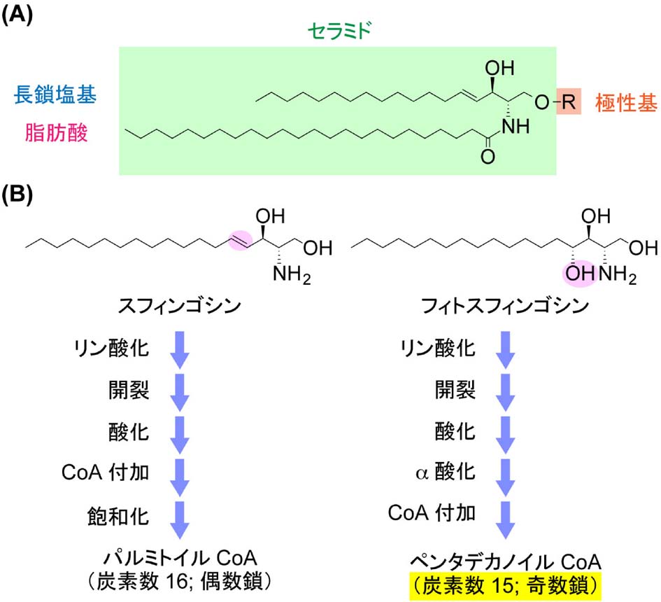 vol54_2