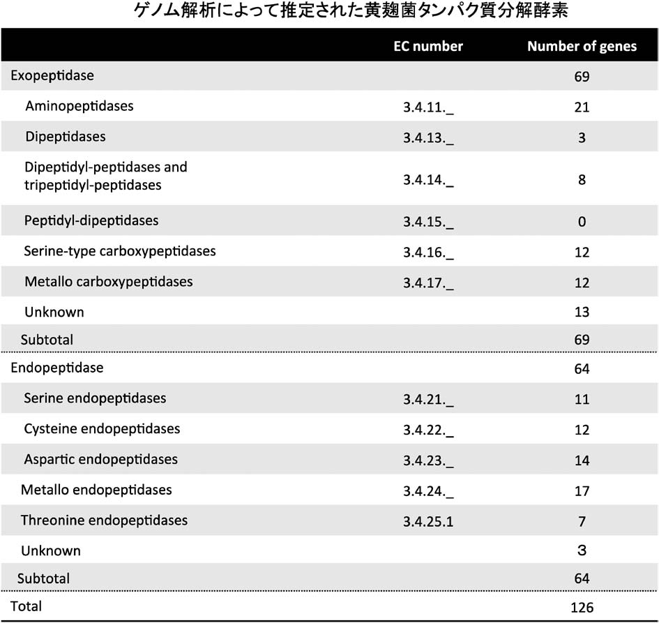 酵素 タンパク質 分解