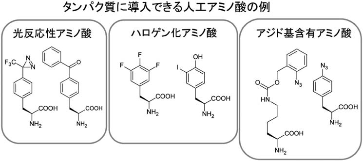 vol54_5