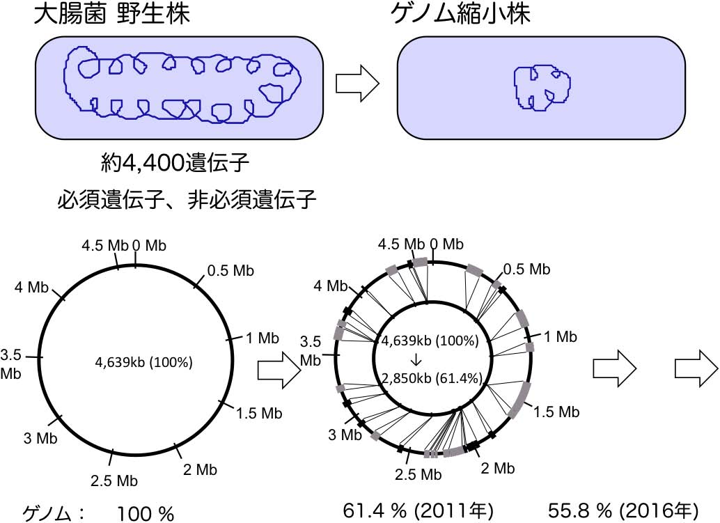 vol54_8