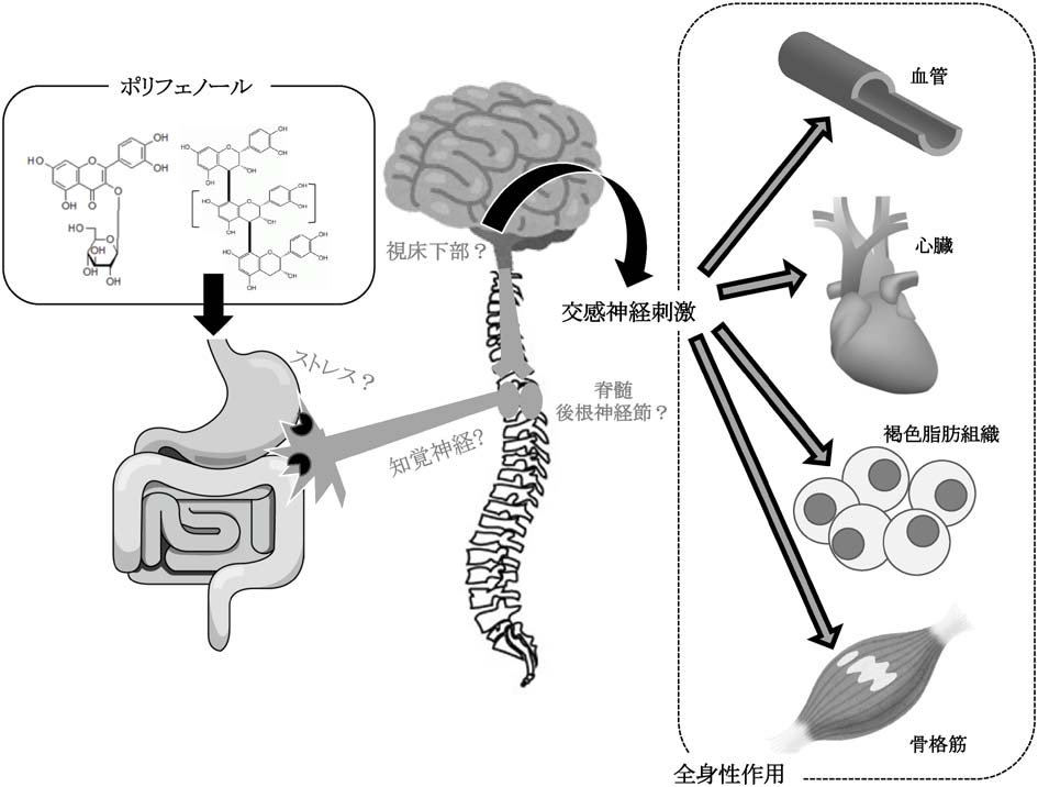 vol54_10