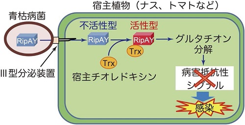 vol54_12