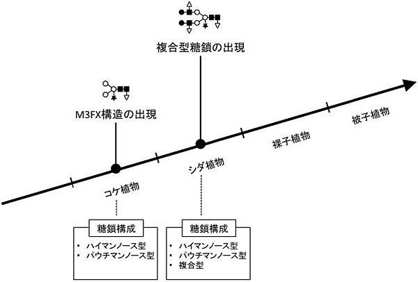 化学と生物 日本農芸化学会 Vol 55 No 1 I N I 結合型糖鎖構造解析から植物の変遷を垣間みる