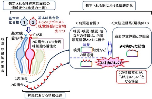 vol55_2