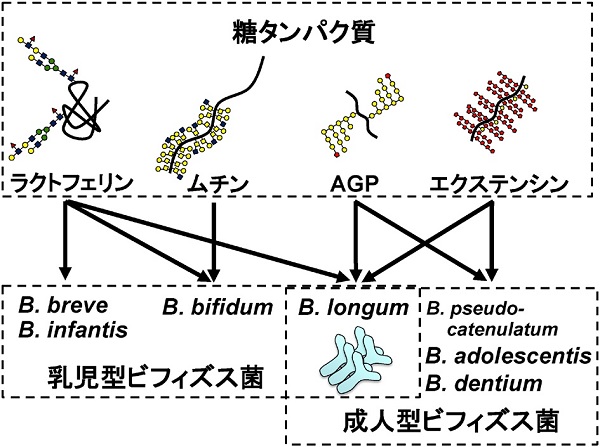 vol55_4