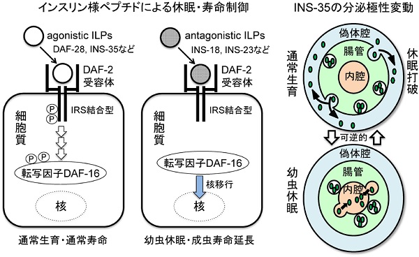 vol55_6