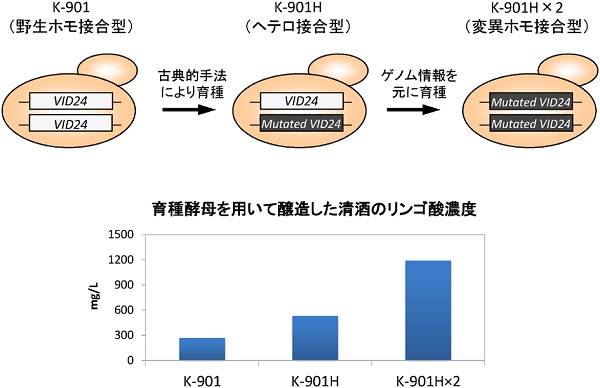 vol55_6