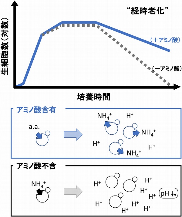 vol55_11